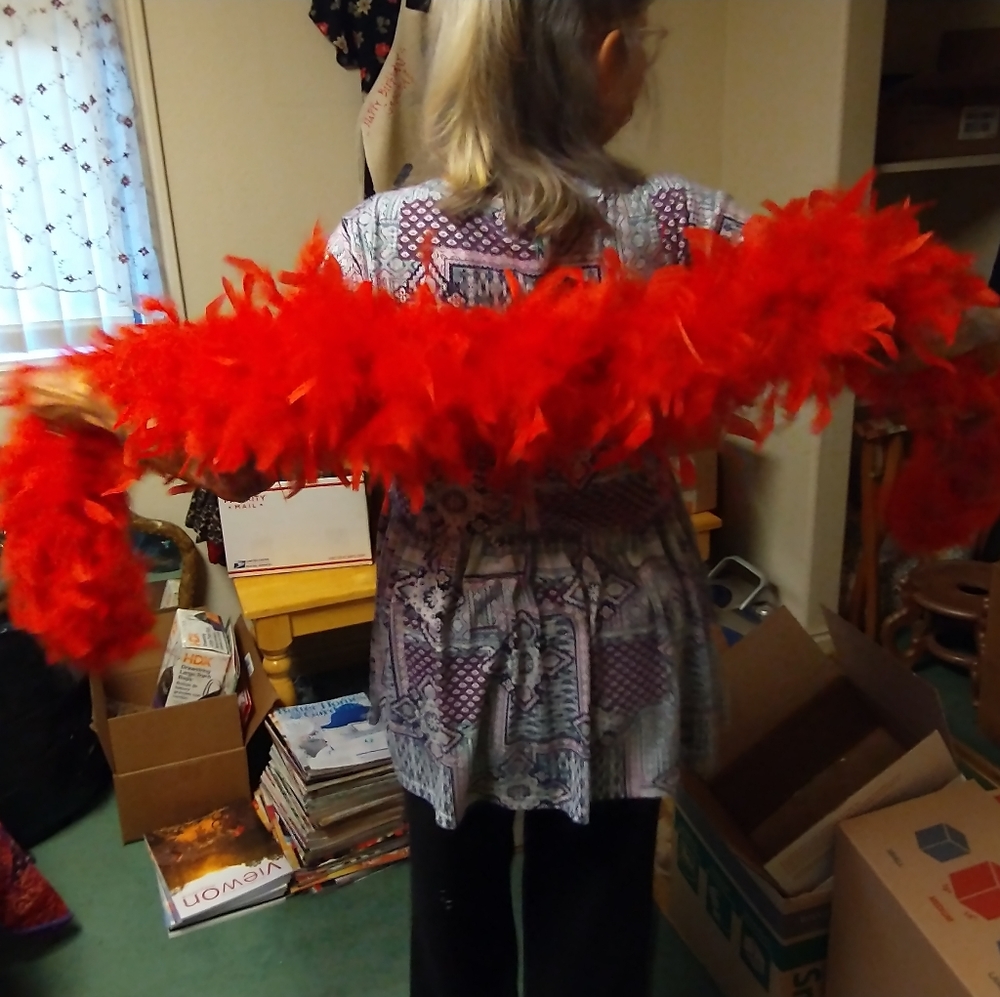 Feathered Boa